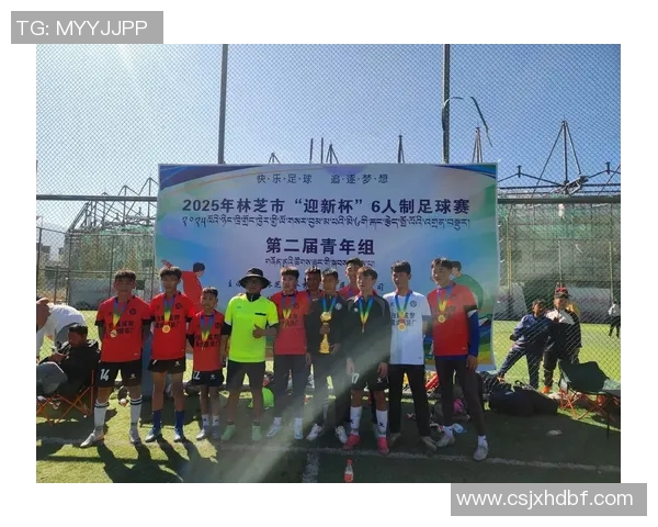 林芝队足球比赛精彩直播视频全程回放与赛后精彩集锦分享