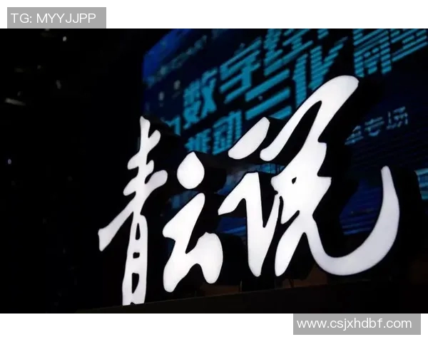 李泓澎：从青年才俊到行业领袖的成长之路与未来展望